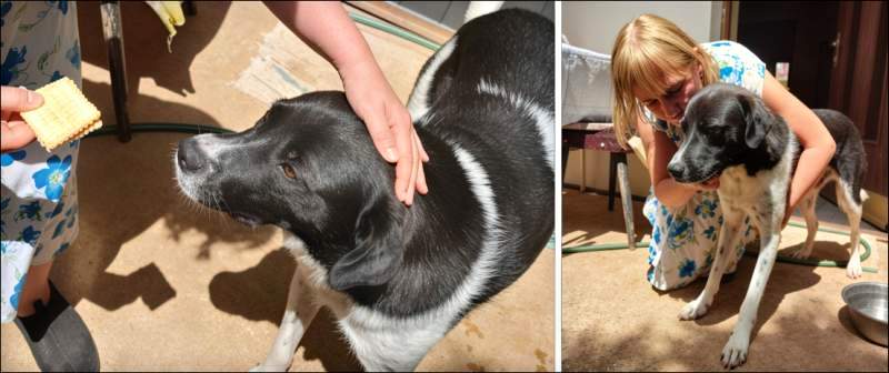Mum and Sharko